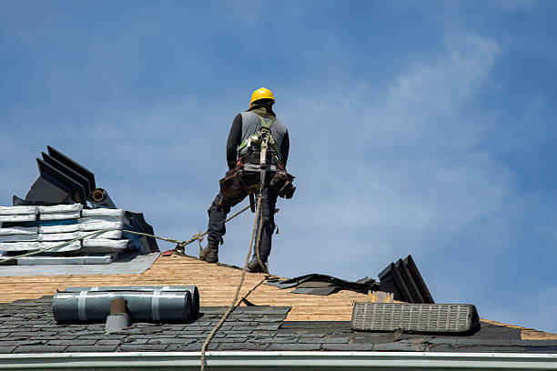 Professional Storm Damage Roof Repair technician working in Hinsdale, IL